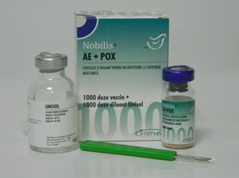 nobilis-ae-pox-msd-animal-health-rom-nia